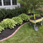 Garden Mulch Strategies: 10 Effective Ways to Improve Soil