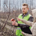 Pruning Apple Trees: 9 Effective Techniques for Health